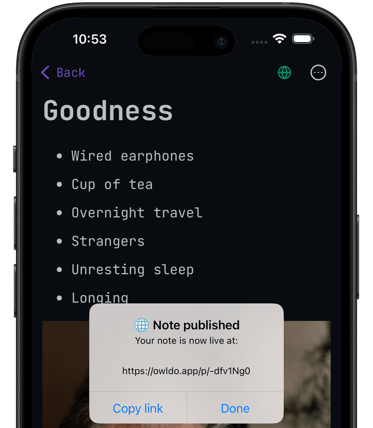 An Owldo-published blog at owldo.app/muse showing published notes with a clean reading layout