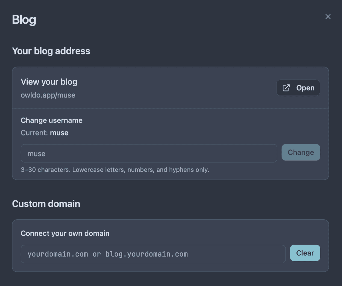 Owldo blog URL and custom domain settings